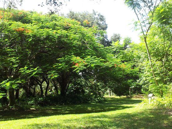 Deerfield Beach Arboretum